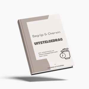 Uitstelgedrag